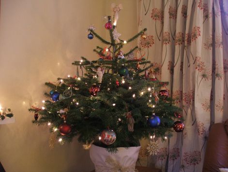 christmas-decorations-2008-005.jpg